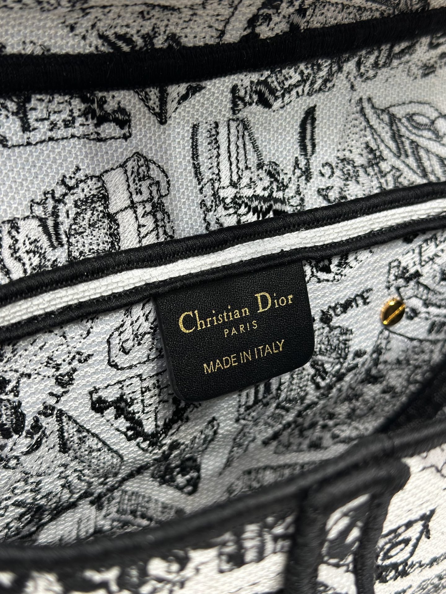 Dior 2026 Striking Black White Plan de Paris Pattern 25.5cm Saddle Bag 289478