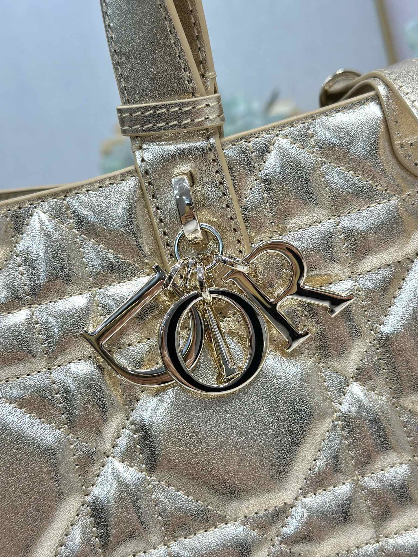 Dior 2026 Toujours Bag Gold Calfskin 288529