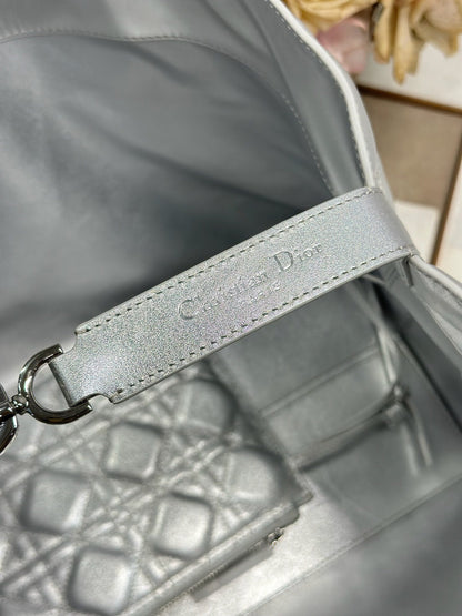Dior 2026 Toujours Bag Silver Calfskin 288544