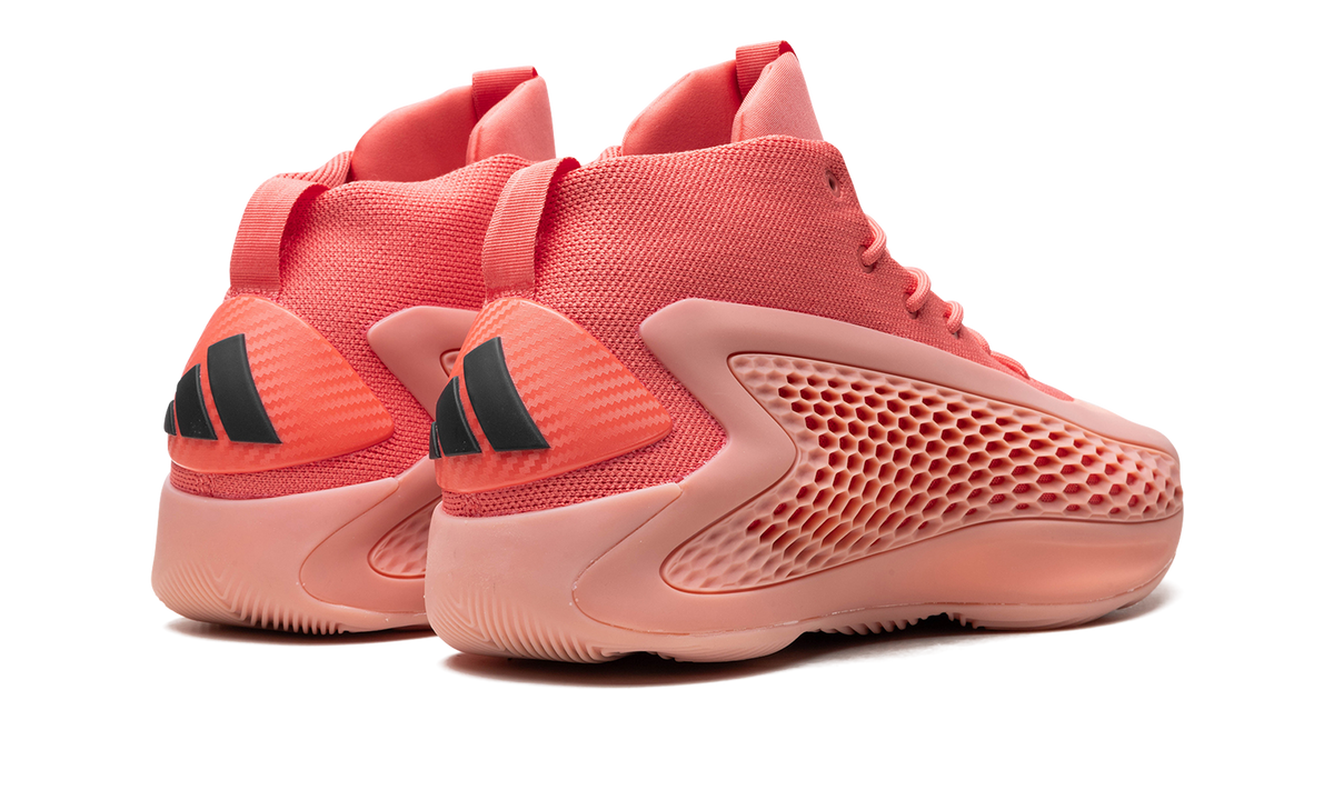 AE 1 "Coral" IF1863