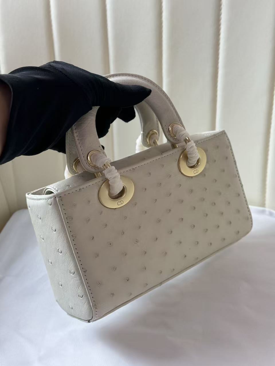 Dior 2026 Lady D-Joy Bag 19cm Ostrich Leather