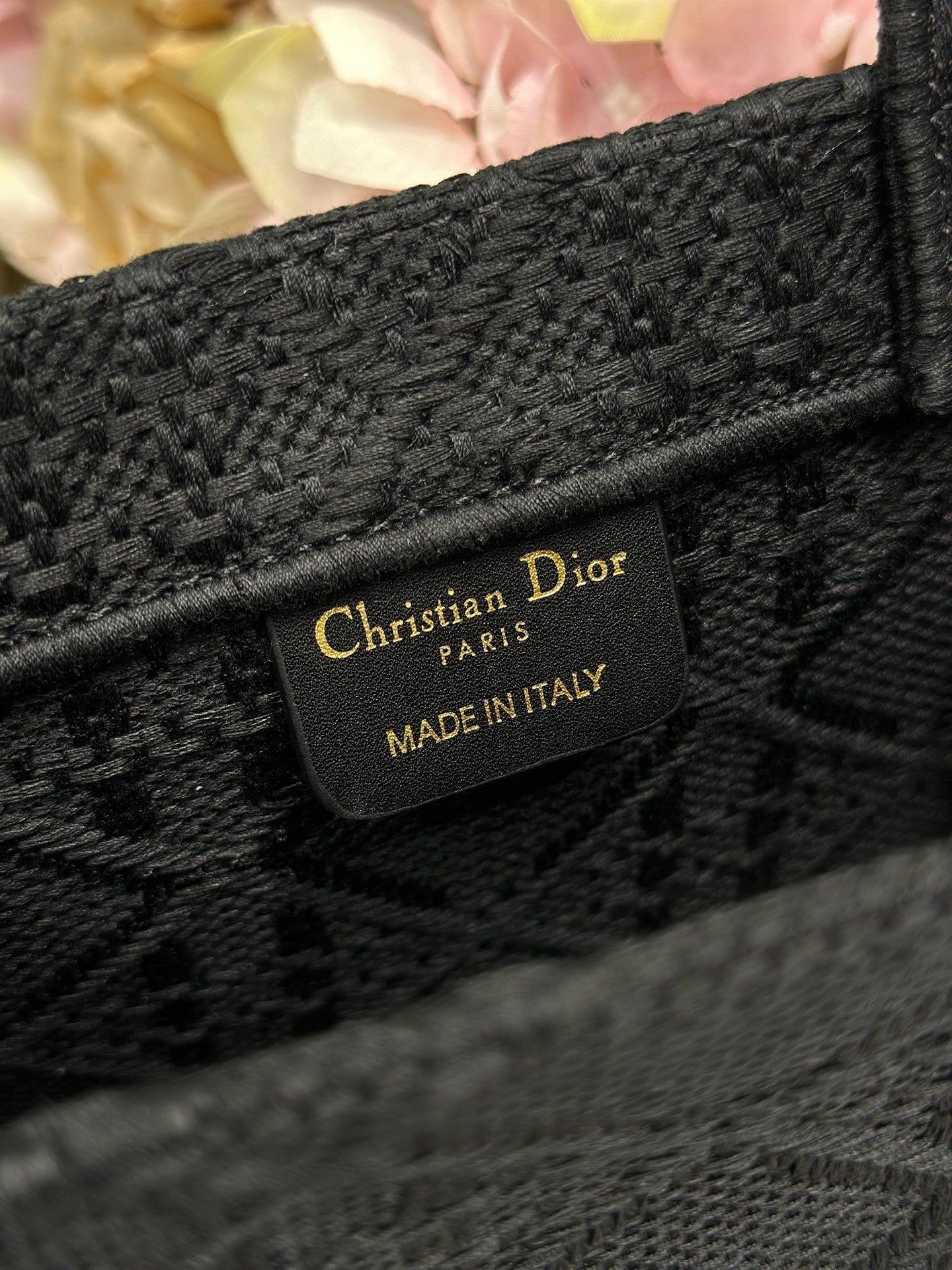 Dior 2026 Book Tote Bag With Red Beetle-shaped Embellishments Black Canvas 288481