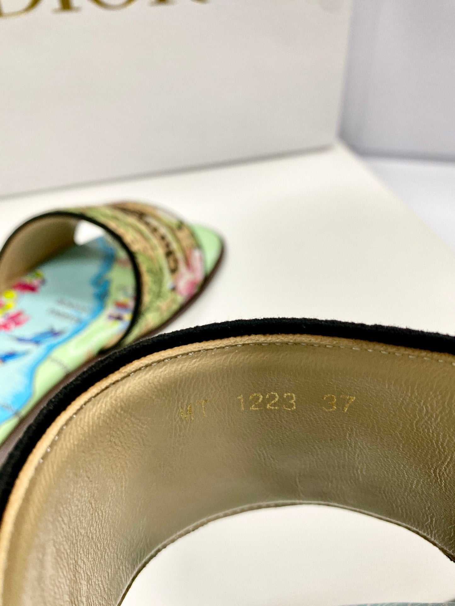 CD 26s Embroidered Sandals Blue Green Multicolor Canvas Leather 683008