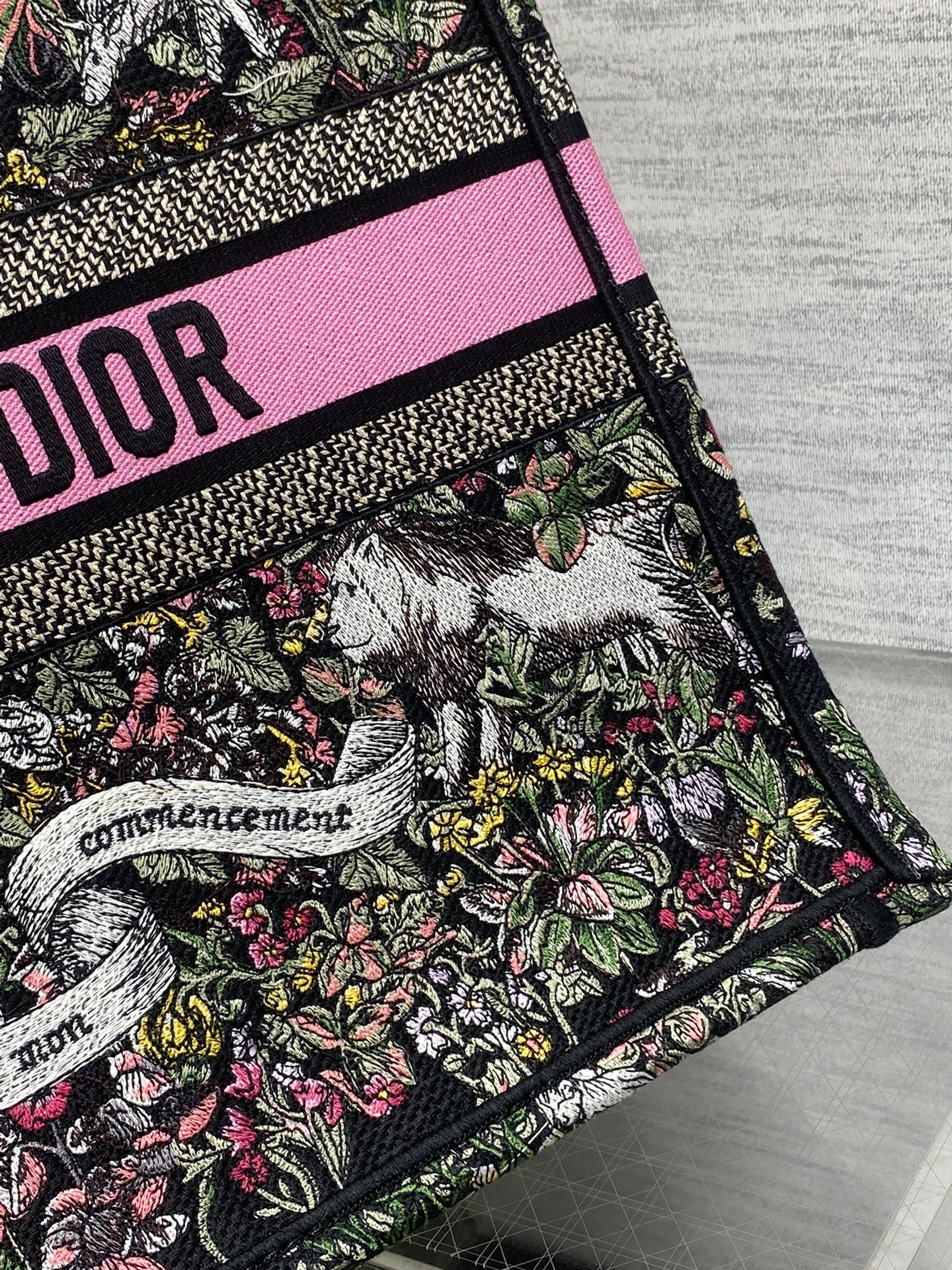 Dior 2026 Around The World Tote Bag Canvas 542528