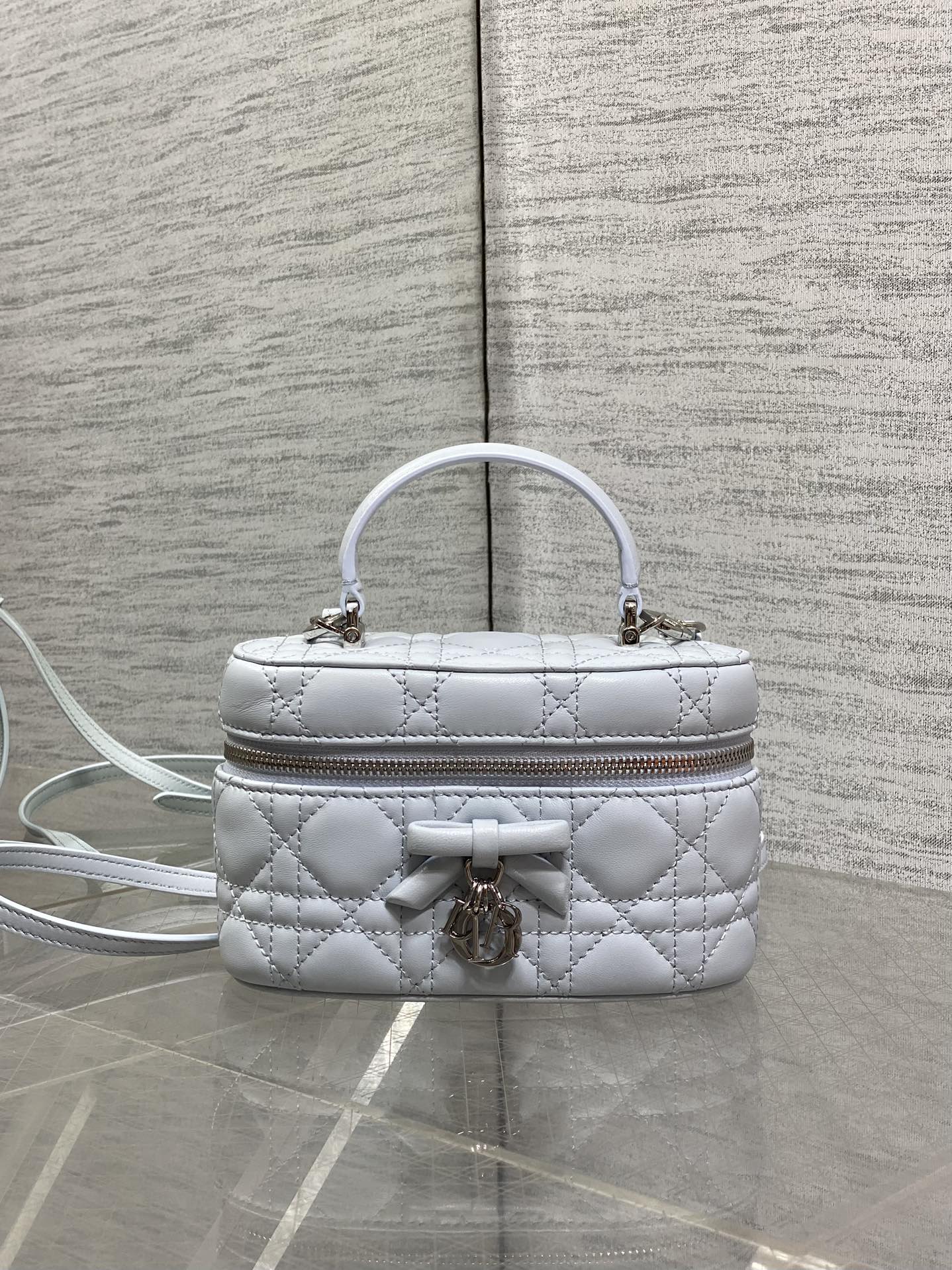 Dior 2026 Vanity Bag 17.5cm Cannage Lambskin 289248