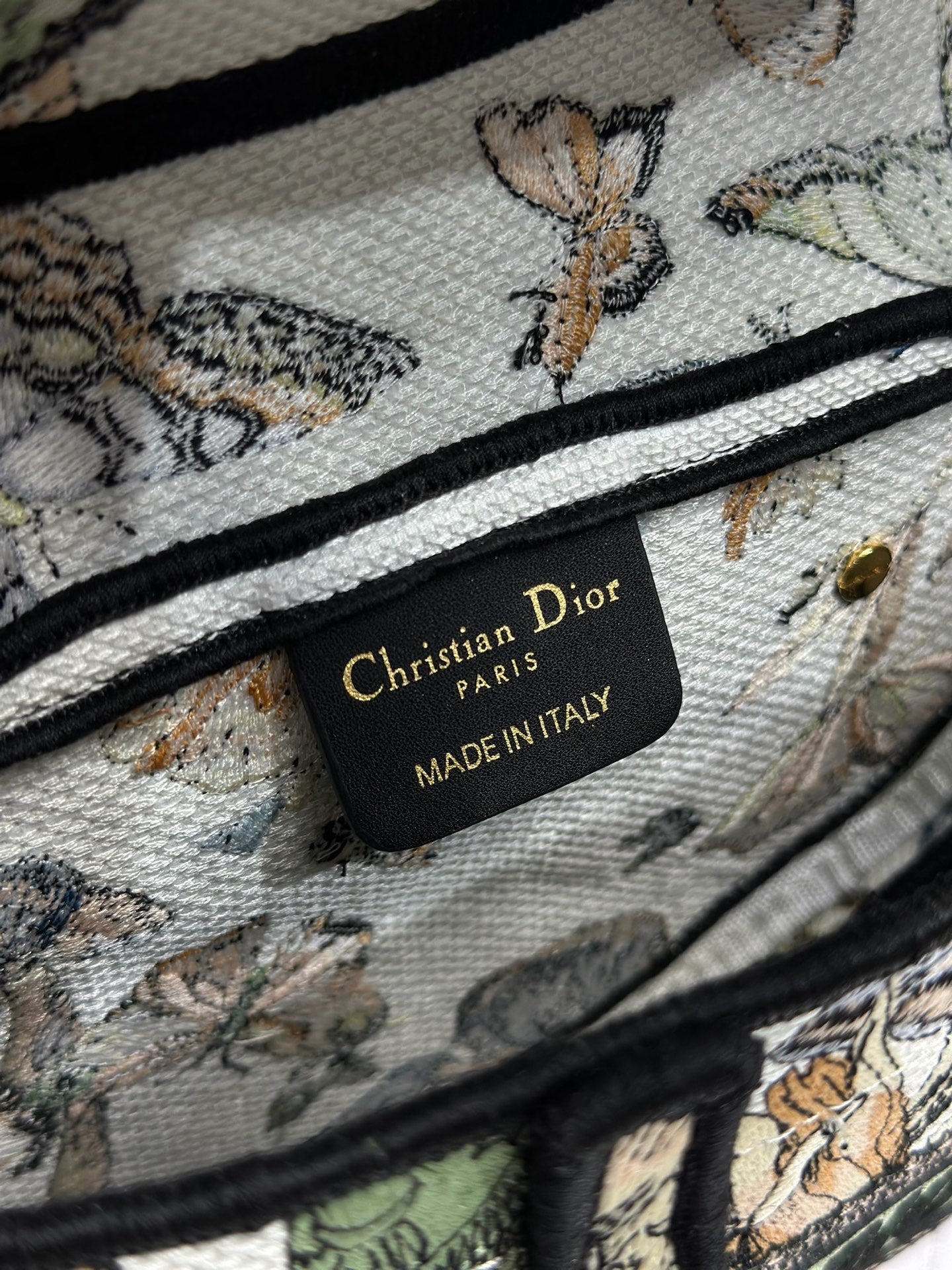 Dior 2026 Colorful Butterfly Saddle Bag 25.5cm Canvas 289474