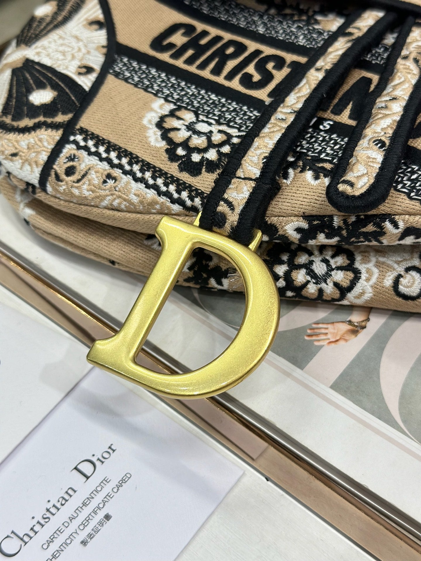 Dior 2026 Butterfly Motifs Saddle Bag 25.5cm Light Brown mix Black Canvas 289476