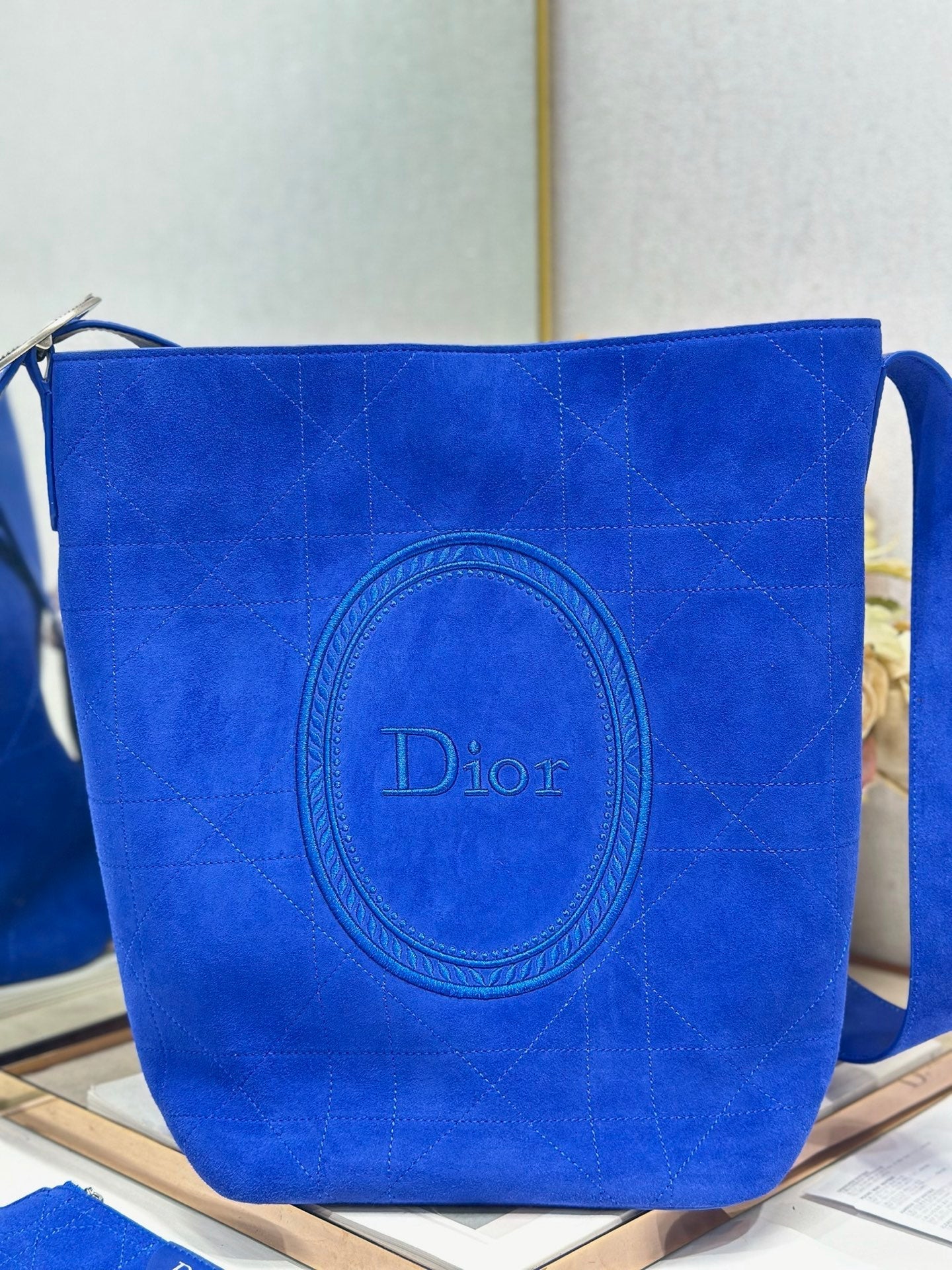 Dior 2026 Medaillon Bucket Bag Suede and Leather 159057
