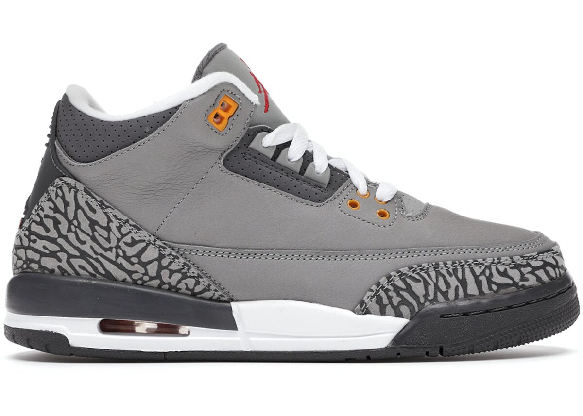 Jordan 3 Retro Cool Grey 2021 Sneakers - Authentic | Designer Kicks